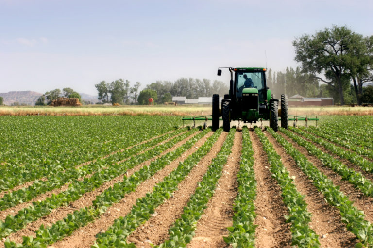 Idaho government shuts down water for 500,000 acres of farmland in latest effort to engineer mass famine in America