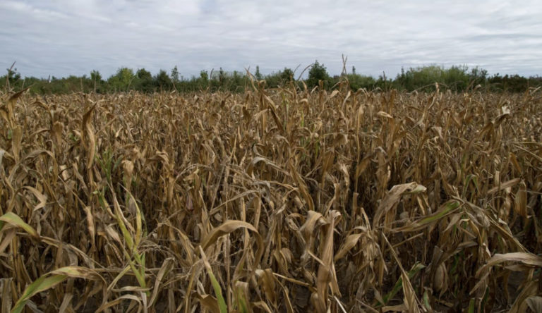 The Enemies of Food Freedom